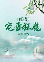 红楼宠妻狂魔